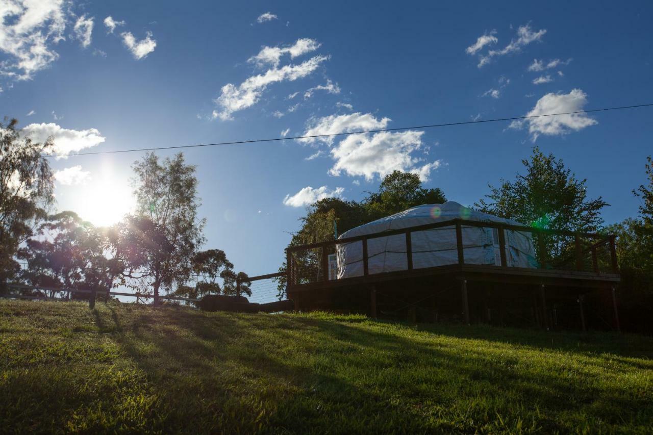 Awesome Glamping Gold Coast Hinterland Hotel Advancetown Exterior photo